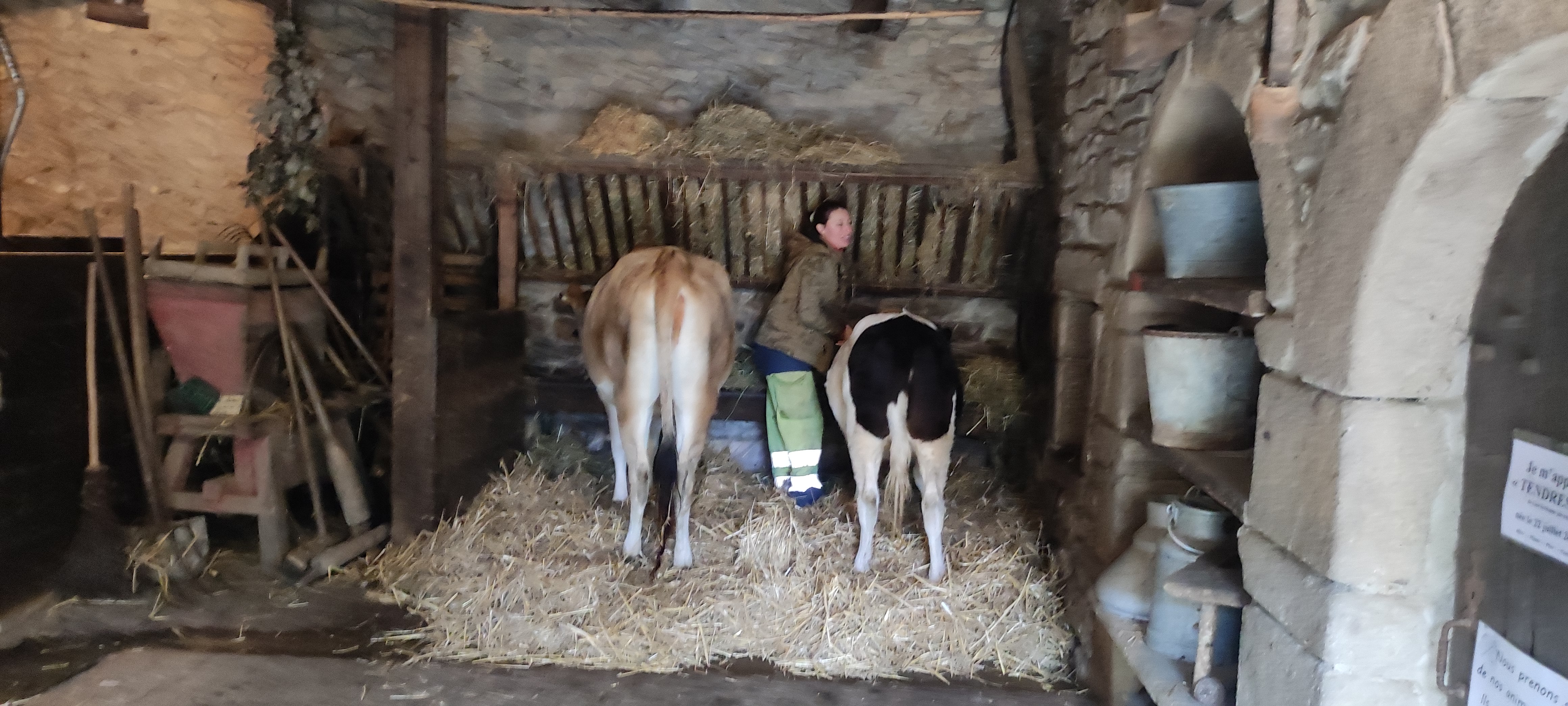 Photo n° 2 de l'avis de Romain.u fait le 02/11/2023 à 14:40