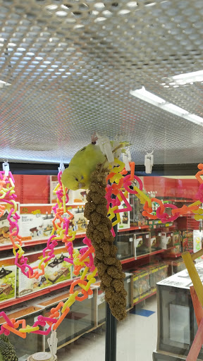 Pet Supply Store «Petco Animal Supplies», reviews and photos, 1090 Fort Union Blvd, Midvale, UT 84047, USA