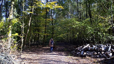 Créavert Sarl à Wallers