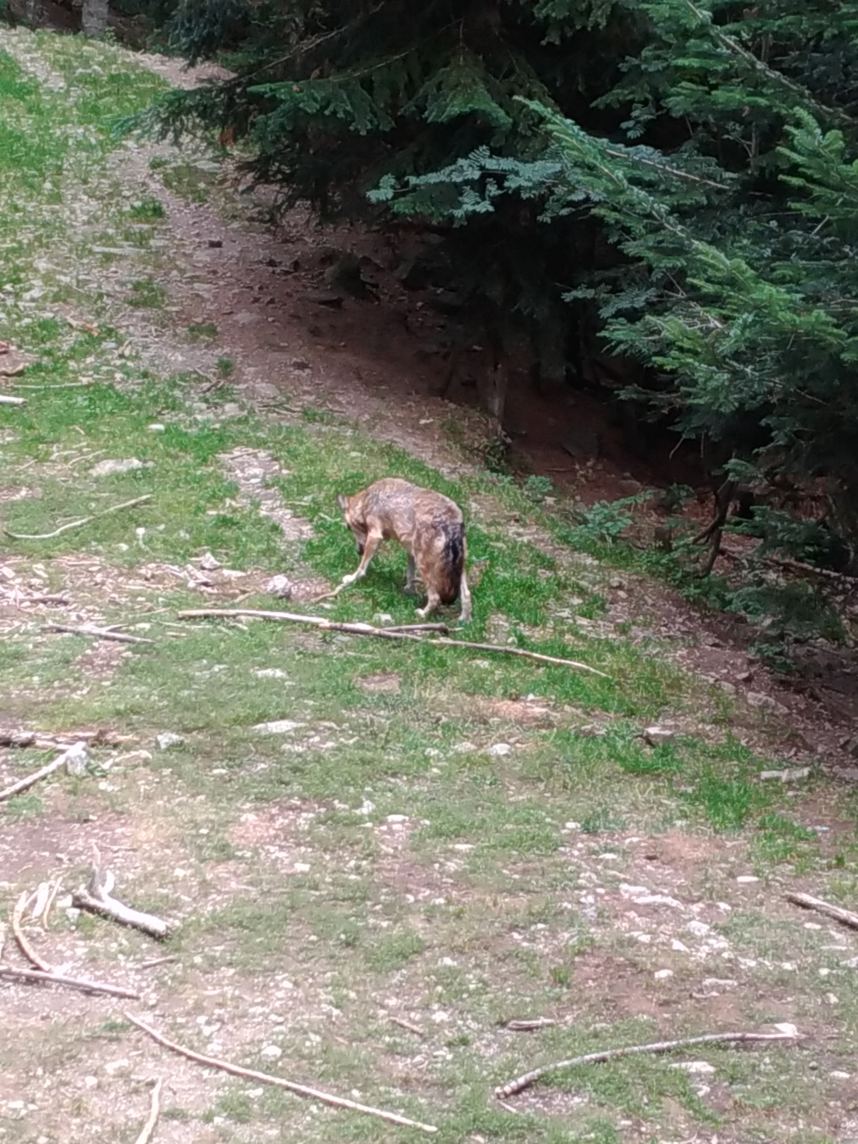 Photo n° 7 de l'avis de Guillaume.. fait le 20/09/2017 à 17:20