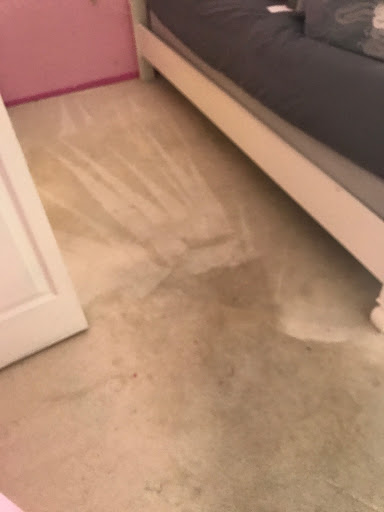 Carpet Cleaning Service «Elite Carpet Cleaning Service», reviews and photos, 29031 Glenarden St, Farmington Hills, MI 48334, USA