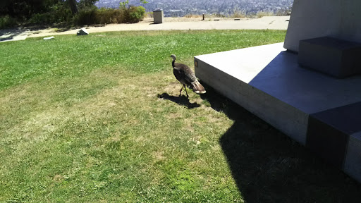 Science Museum «Lawrence Hall of Science», reviews and photos, 1 Centennial Dr, Berkeley, CA 94720, USA