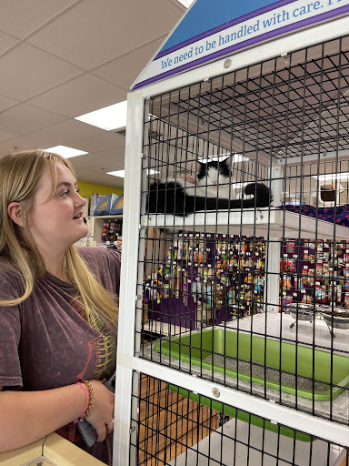 Pet Supply Store «Pet Supermarket», reviews and photos, 11160 Panama City Beach Pkwy #402, Panama City Beach, FL 32407, USA