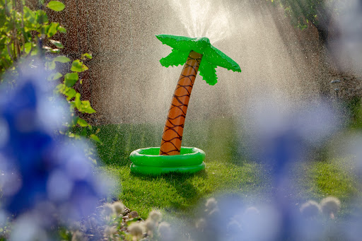 Gift Shop «Talulah Jones», reviews and photos, 1122 E 17th Ave, Denver, CO 80218, USA