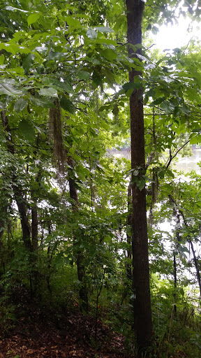 Outdoor Sports Store «Coosa Outdoor Center», reviews and photos, 172 River Rd, Wetumpka, AL 36092, USA