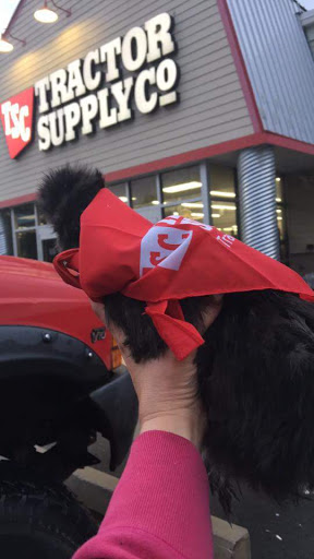 Home Improvement Store «Tractor Supply Co.», reviews and photos, 401 Middlesex Turnpike, Old Saybrook, CT 06475, USA