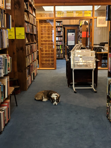 Used Book Store «Blue Whale Books», reviews and photos, 115 W Main St, Charlottesville, VA 22902, USA