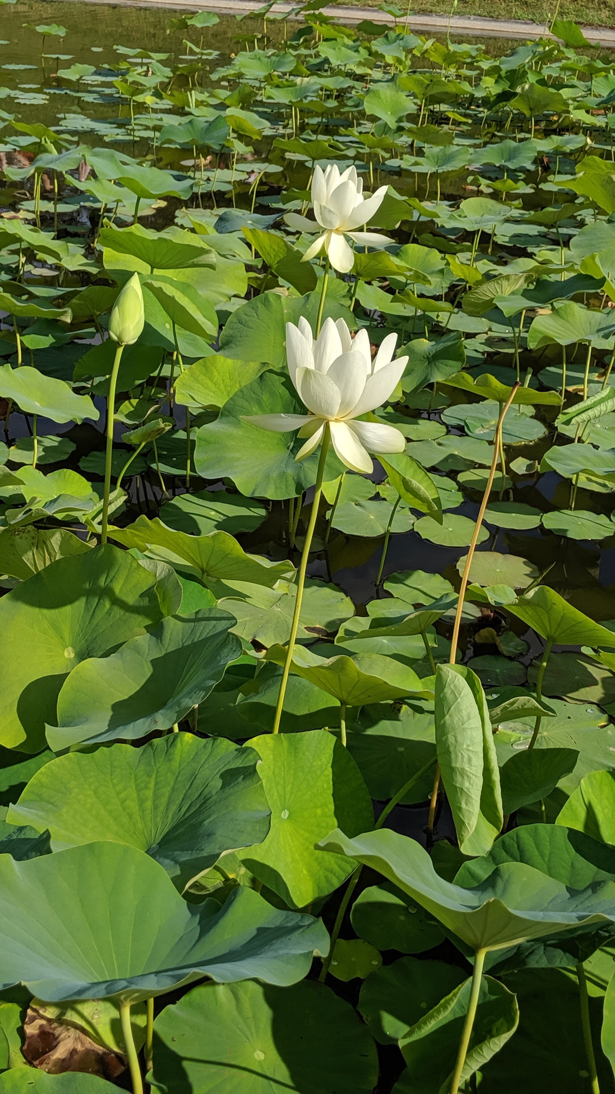 Photo n° 3 de l'avis de Jose.u fait le 28/07/2019 à 17:10
