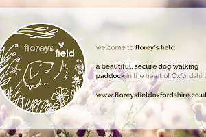 Florey's Field Oxfordshire - Secure Dog Walking Paddock image