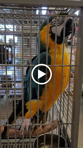 Pet Store «El Palomar Pet Shop Inc», reviews and photos, 4712 W Flagler St, Coral Gables, FL 33134, USA