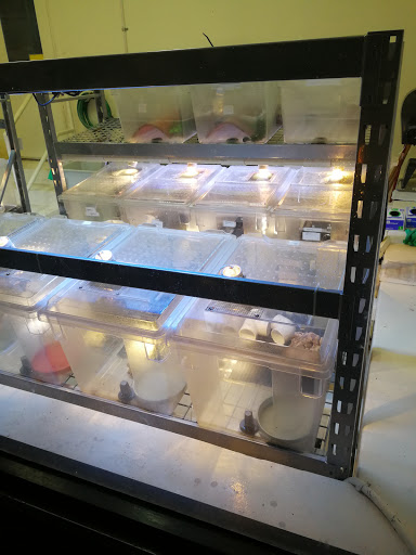 Zoo «Jacksonville Zoo and Gardens», reviews and photos, 370 Zoo Pkwy, Jacksonville, FL 32218, USA