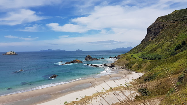 Reviews of Ocean Beach Carpark, Whangarei - Overnight Campervan Parking in Whangarei Heads - Other