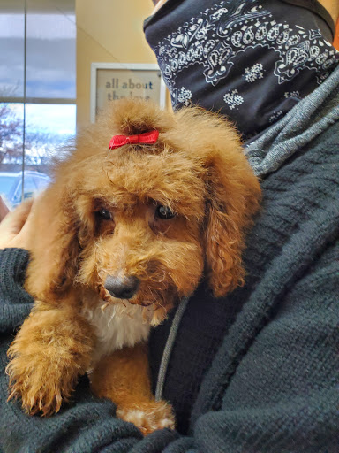 Pet Supply Store «PetSmart», reviews and photos, 60 NJ-17, Paramus, NJ 07652, USA