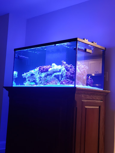 Tropical Fish Store «Pass Road Pet Center (Just Fish)», reviews and photos, 1939 Pass Rd, Biloxi, MS 39531, USA