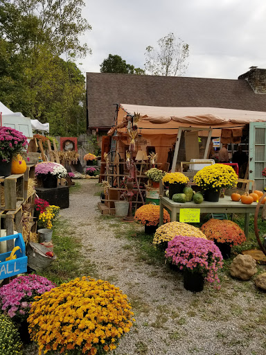 Flea Market «Olde Tyme Flea Market», reviews and photos, 5400 State Rd 46, Nashville, IN 47448, USA