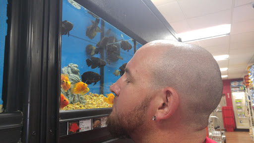Pet Supply Store «Pet Supermarket», reviews and photos, 2924 13th St, St Cloud, FL 34769, USA