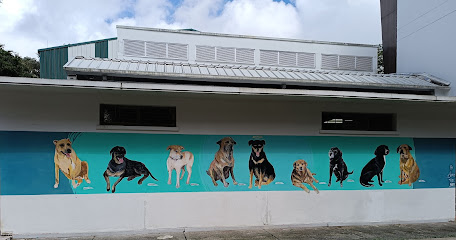 Mural mascotas Universidad Del Quindío