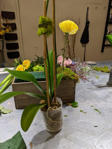 Florist «Lush Home Garden Event», reviews and photos, 1910 Government St, Mobile, AL 36606, USA