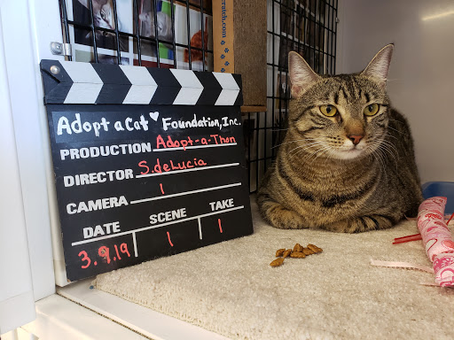 Pet Supply Store «Pet Supplies Plus», reviews and photos, 1258 Northlake Blvd, Lake Park, FL 33403, USA