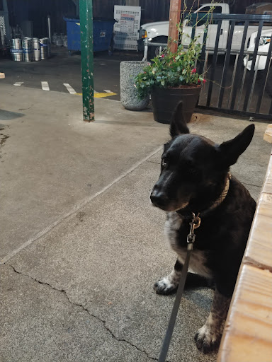 Convenience Store «Big Rock Mini Mart & Deli», reviews and photos, 1500 Lucas Valley Rd, San Rafael, CA 94903, USA