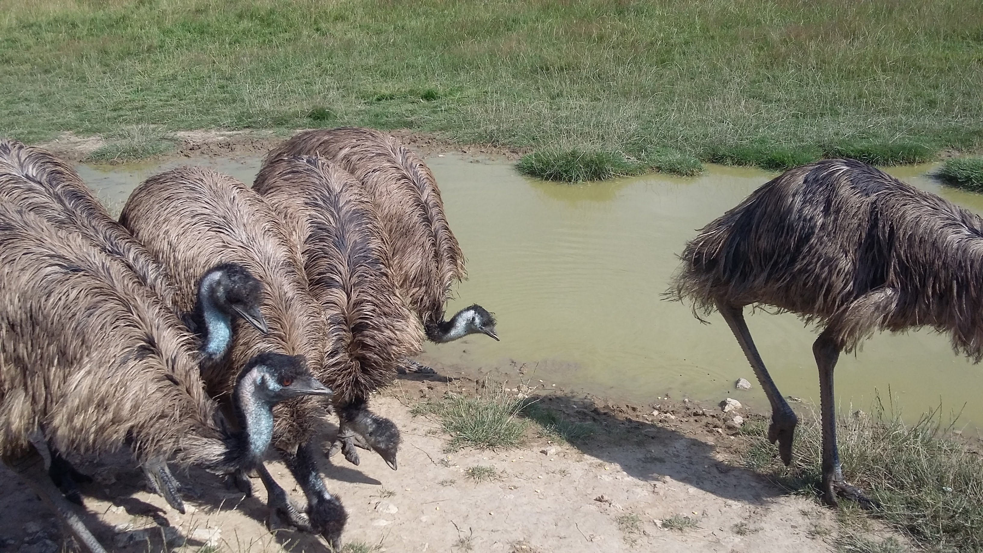 Photo n° 3 de l'avis de Svetlana. fait le 08/07/2018 à 17:25