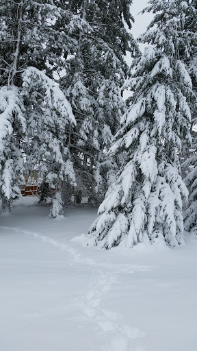 Hardware Store «Happy Valley Ace Hardware», reviews and photos, 14742 SE Sunnyside Rd, Happy Valley, OR 97015, USA