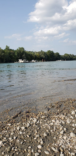 Confluence de Feyssine à Villeurbanne