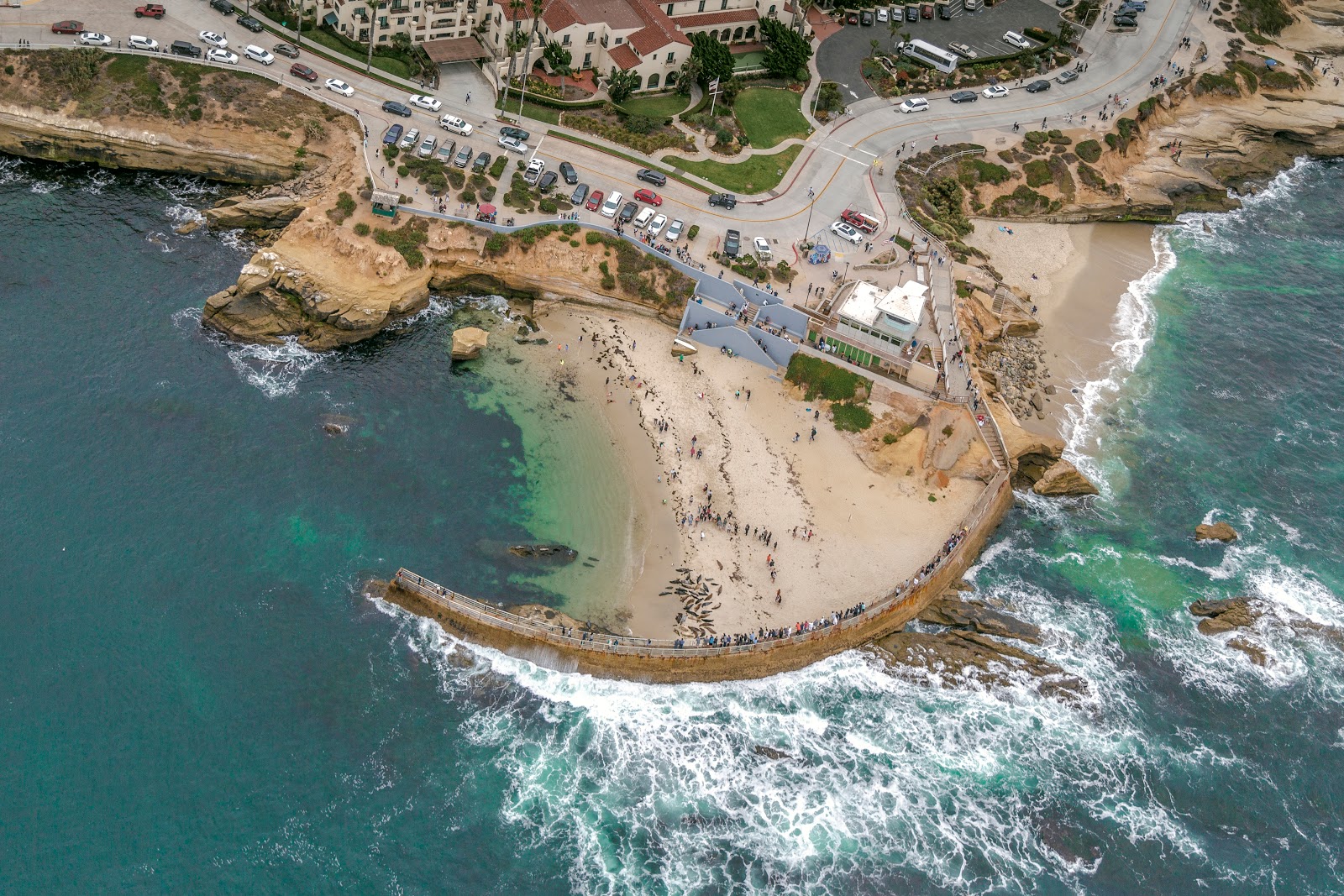 Photo of Children's Pool La Jolla and the settlement