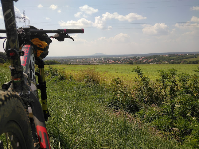 Értékelések erről a helyről: Bakony Sport Kerékpárbolt és Szervíz, Ajka - Kerékpárbolt