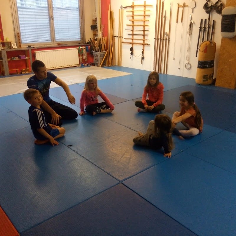 Modern Martial Arts Group BJJ MMA Yoga Kindertraining