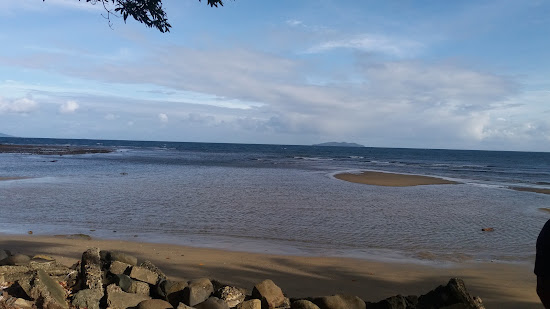 Pacific Harbor II