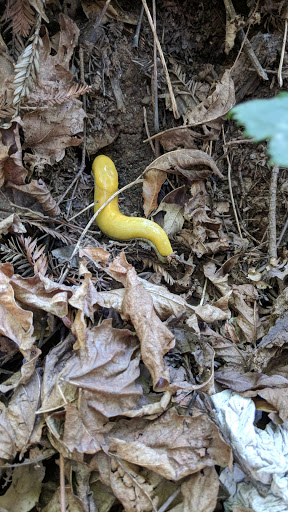 Book Store «Bay Tree Bookstore», reviews and photos, 420 Hagar Dr, Santa Cruz, CA 95064, USA