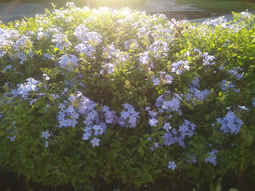 Shopping Mall «Arena Shops», reviews and photos, 14750 Biscayne Blvd, North Miami, FL 33181, USA