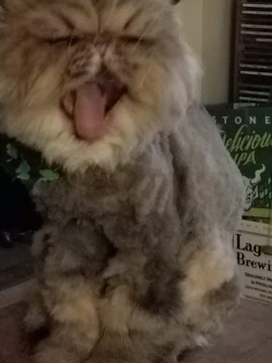 Pet Supply Store «Animal Kingdom of Santa Monica», reviews and photos, 300 Pico Blvd, Santa Monica, CA 90405, USA