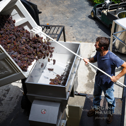 Winery «Glass House Winery», reviews and photos, 5898 Free Union Rd, Free Union, VA 22940, USA