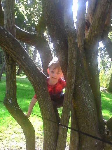 Park «132nd Square Park», reviews and photos, 13159 132nd Ave NE, Kirkland, WA 98034, USA