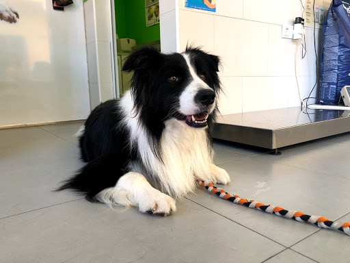Clínica Veterinaria Polop en Barony of Polop