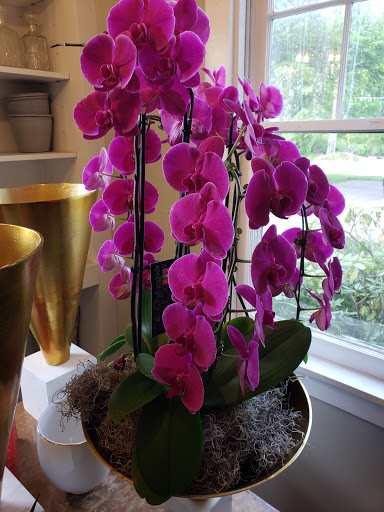 Florist «Village Flower Basket-Gardens», reviews and photos, 1090 River Rd, Granville, OH 43023, USA