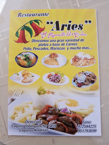 Opiniones de Restaurant Aries en Calama - Restaurante