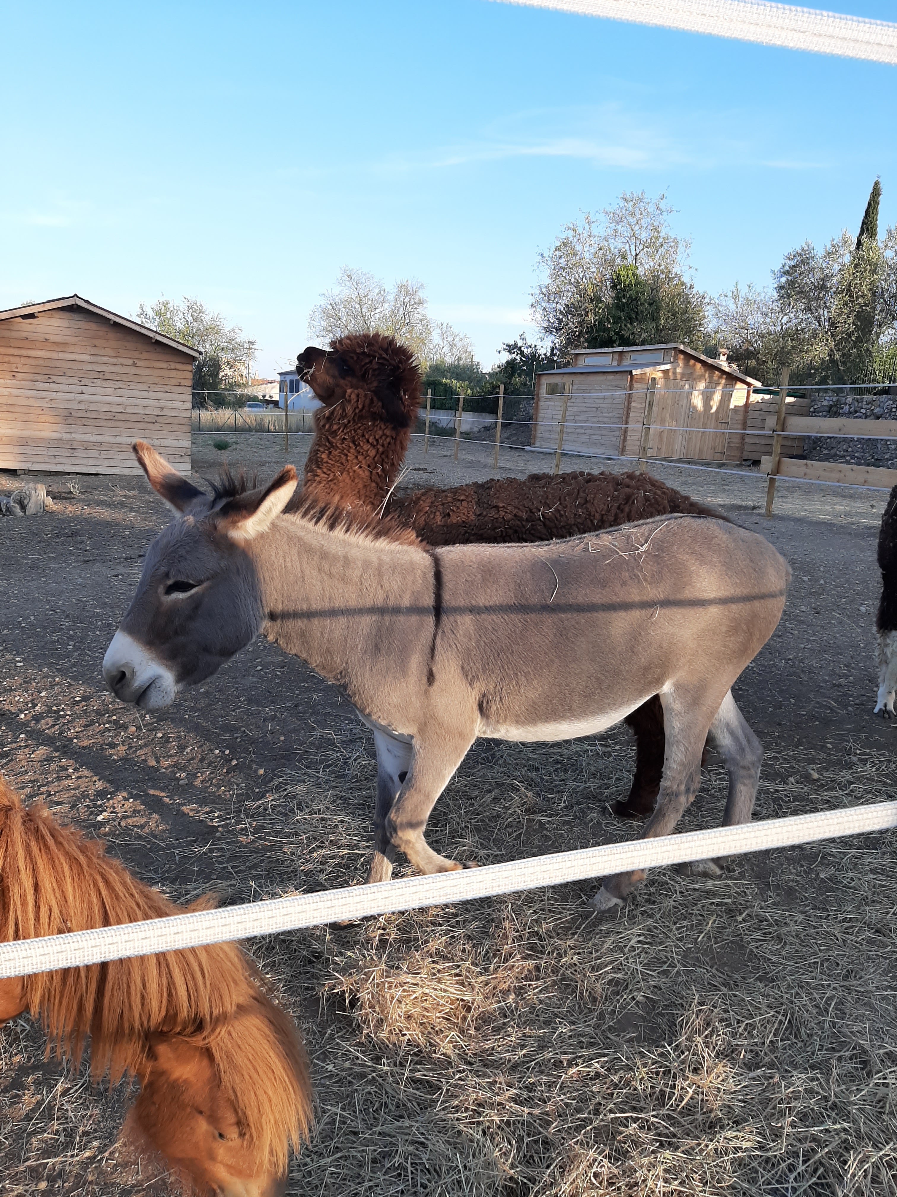 Photo n° 3 de l'avis de Jessica.e fait le 18/08/2019 à 21:07