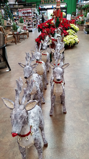 Hardware Store «Orchard Supply Hardware», reviews and photos, 452 Fair Oaks Ave, South Pasadena, CA 91030, USA