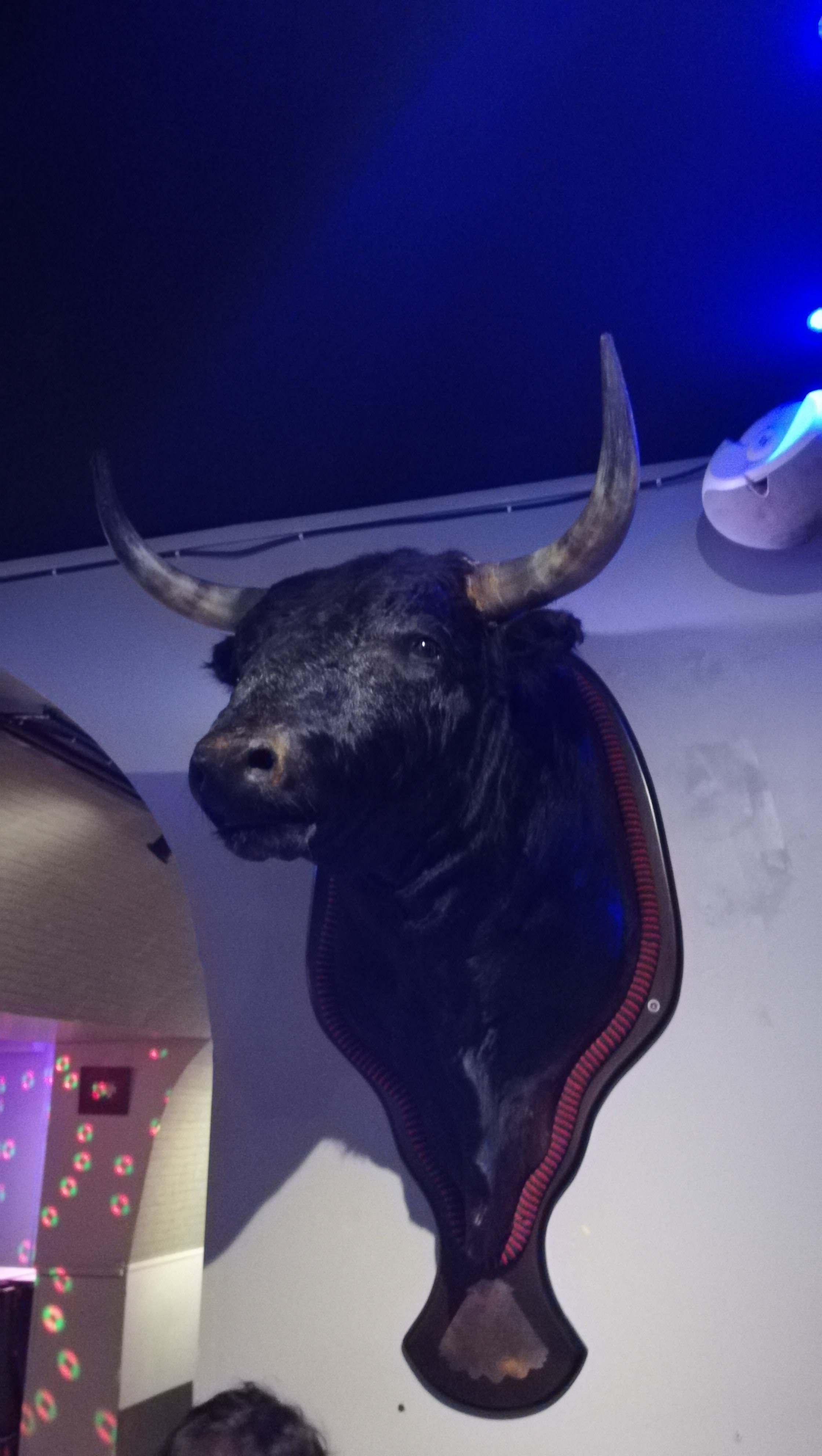 Photo n° 1 de l'avis de jean-marc.i fait le 20/03/2019 à 19:34