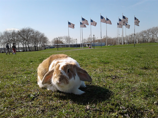 Supermarket «Pioneer Supermarket», reviews and photos, 320 Martin Luther King Dr, Jersey City, NJ 07305, USA