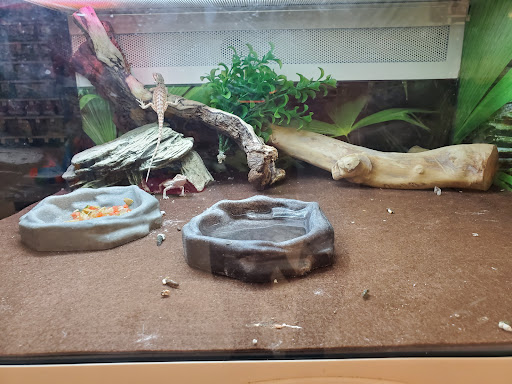 Pet Supply Store «PetSmart», reviews and photos, 1236 Greenbrier Pkwy, Chesapeake, VA 23320, USA