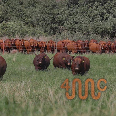 McEntire Red Angus