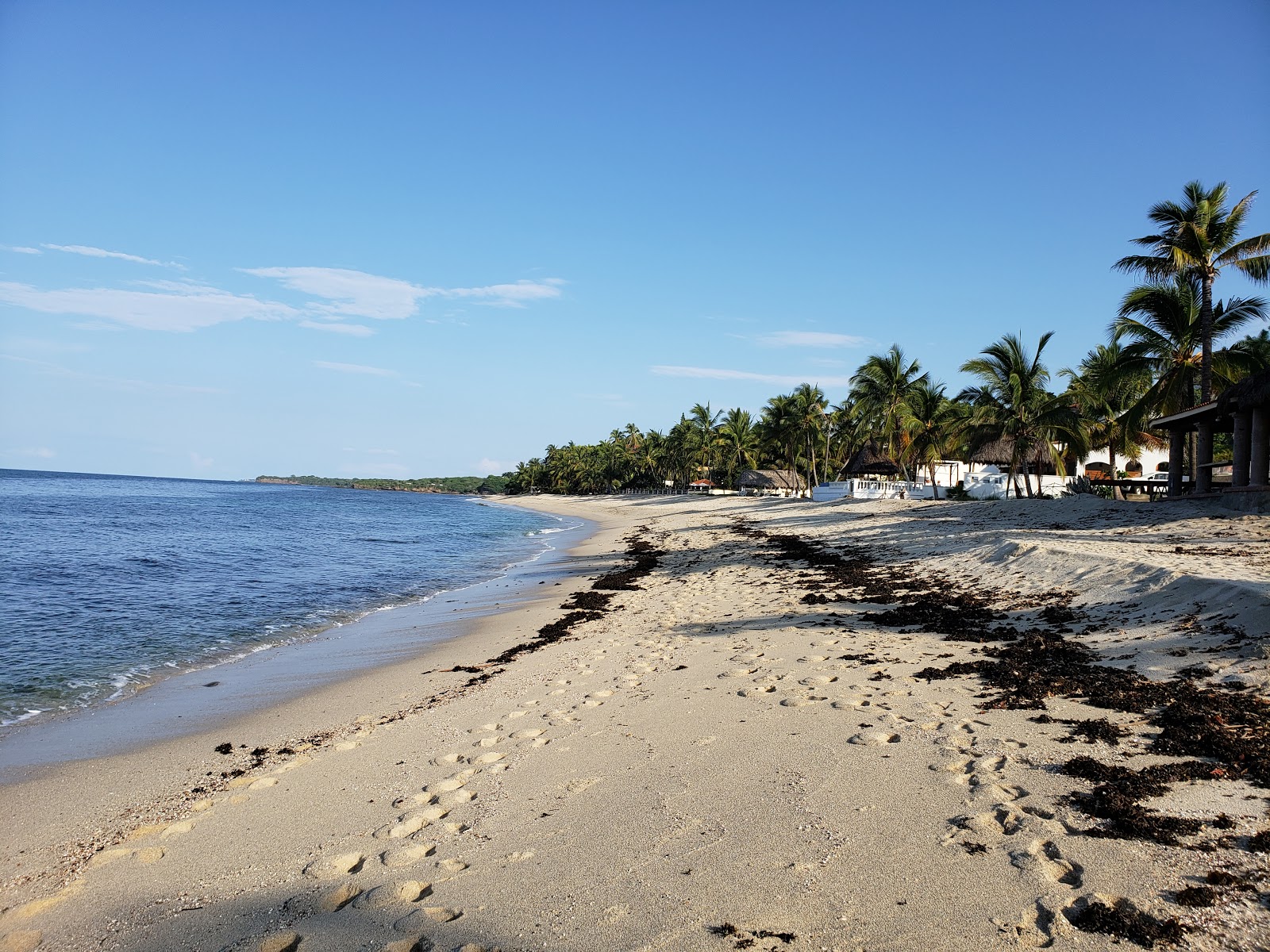 Foto van Burro Punta Mita met ruim strand
