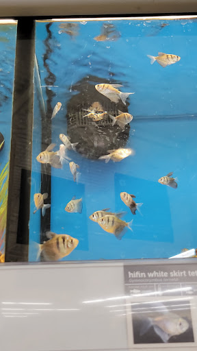 Pet Supply Store «Petco Animal Supplies», reviews and photos, 1065 Kennedy Rd, Windsor, CT 06095, USA