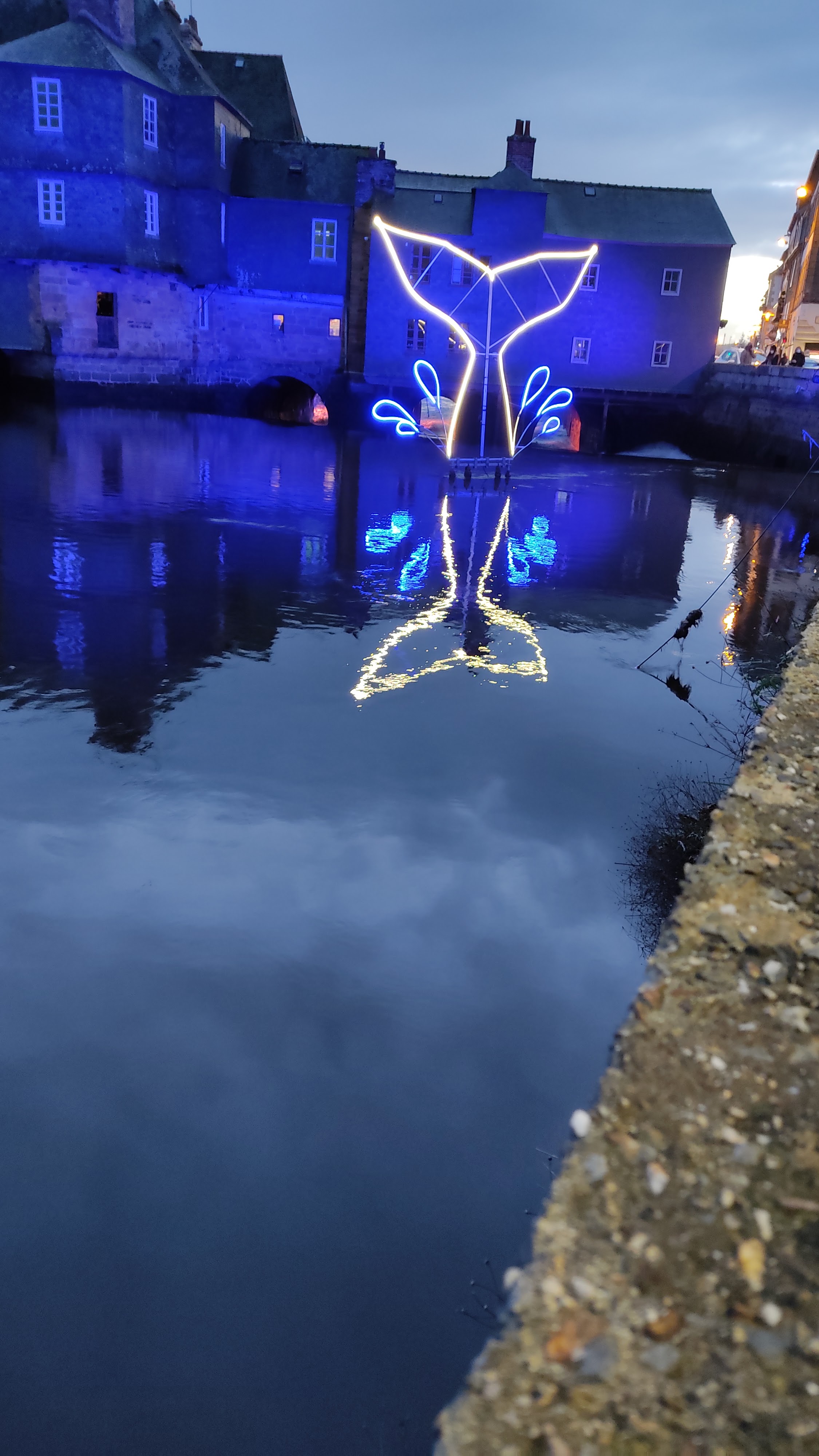 Photo n° 13 de l'avis de Maryvonne.e fait le 12/12/2020 à 17:55