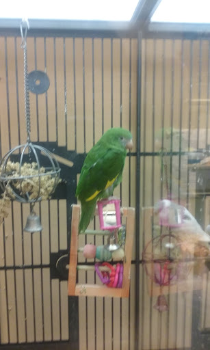 Pet Supply Store «PetSmart», reviews and photos, 198 Promenade Blvd, Flowood, MS 39232, USA