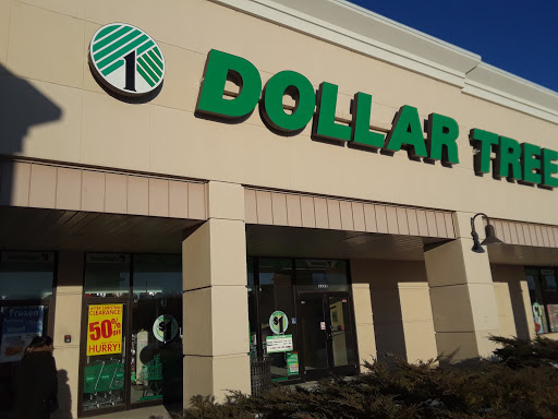 Dollar Store «Dollar Tree», reviews and photos, 3208 Kirchoff Rd, Rolling Meadows, IL 60008, USA
